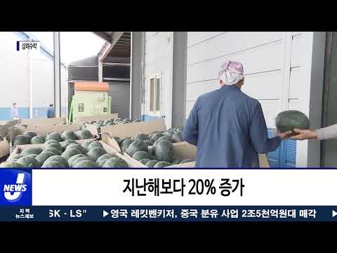 완주군의 효자상품 ‘삼례수박’
