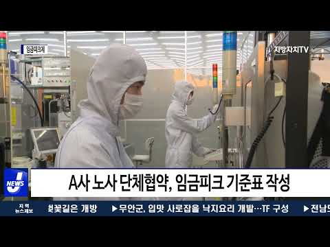 임금피크제 적용 시점 만 55살