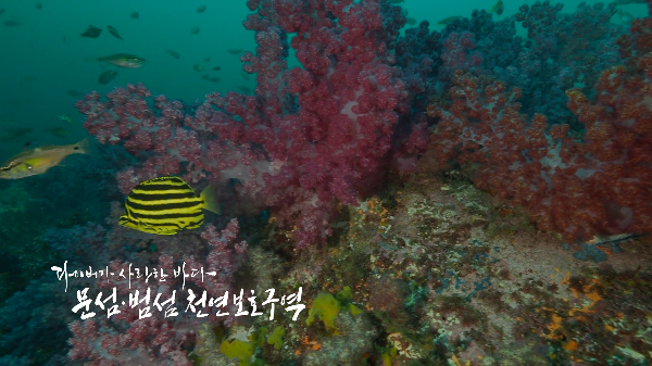 다이버가 사랑한 바다, 문섬·범섬 천연보호구역