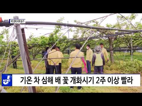 고창군수, 배 냉해 피해 농가 방문