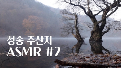 청송 주산지 2부 1hours Relaxing ASMR