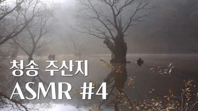 청송 주산지 4부 1hours Relaxing ASMR