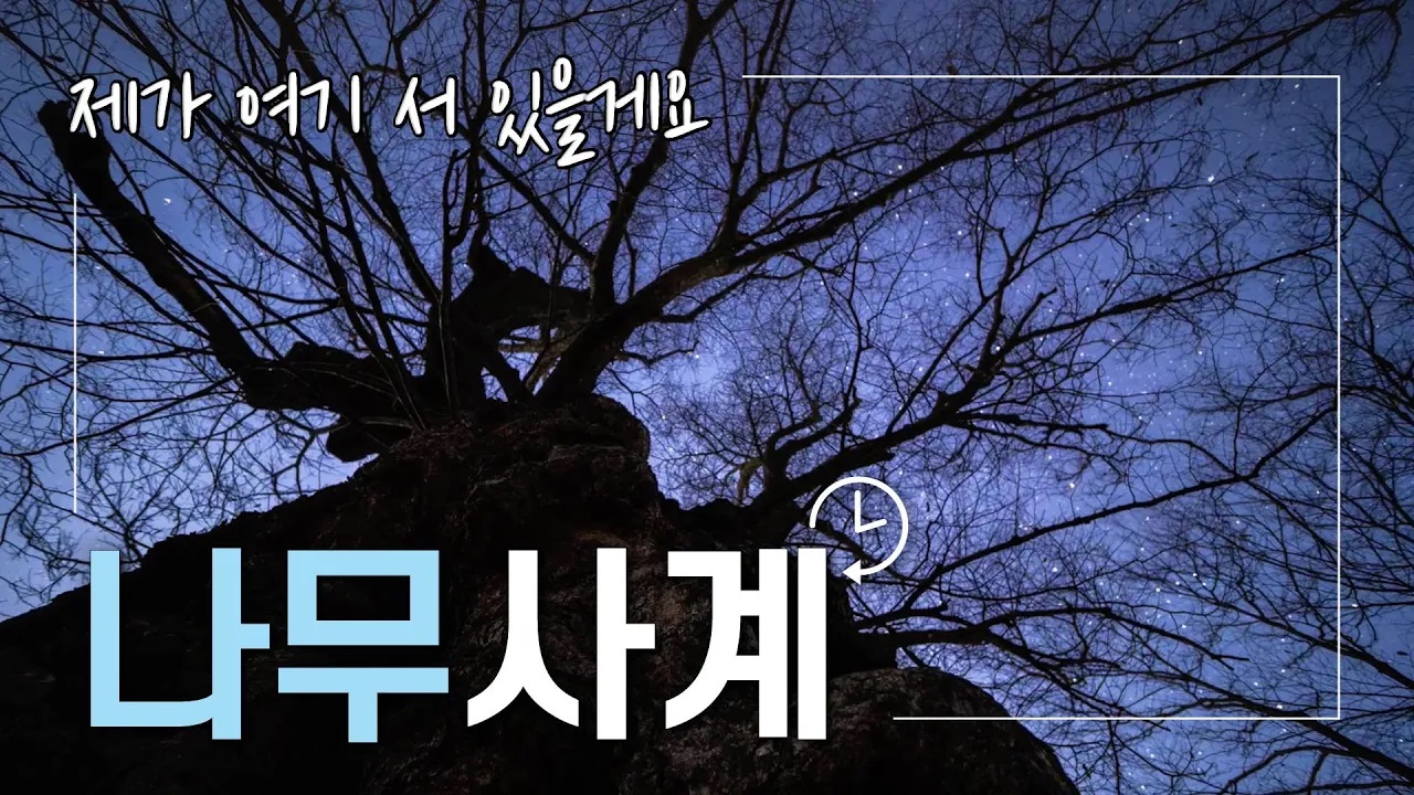 나무사계 1부