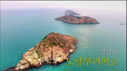 칠산도 노랑부리백로