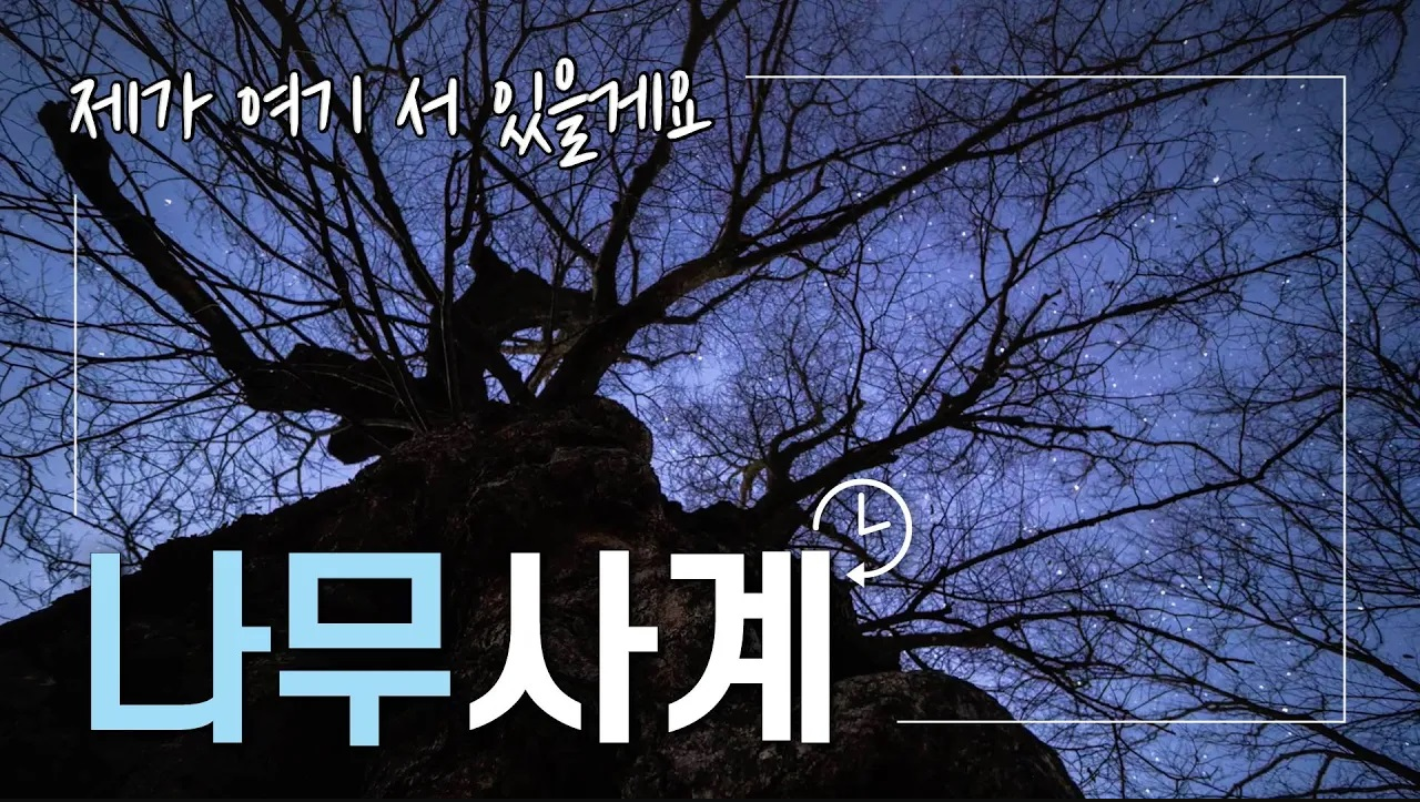 나무사계 1부