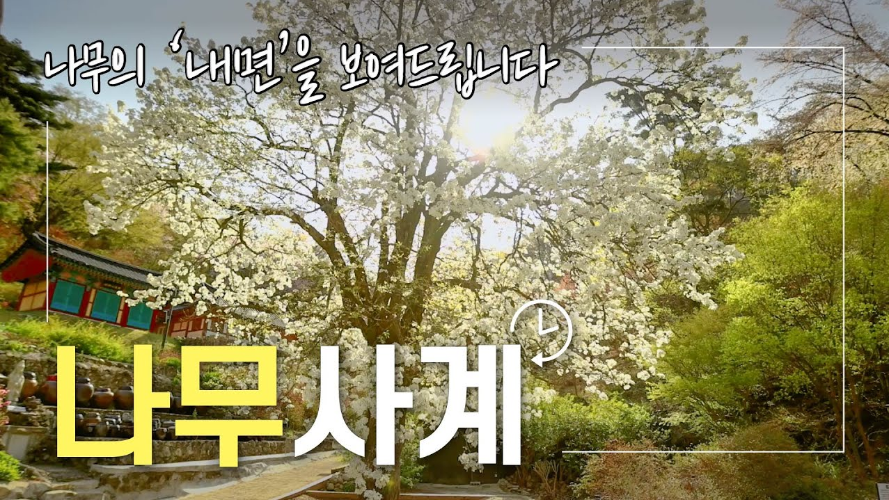 나무사계 2부