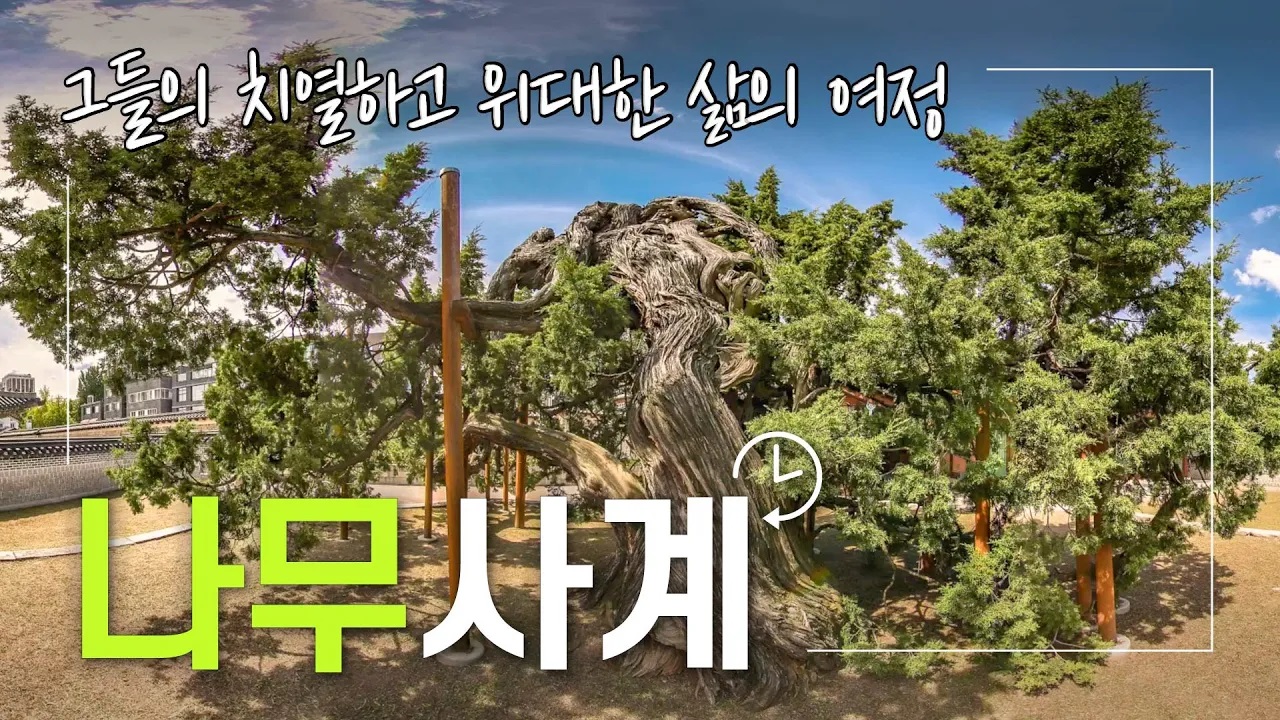 나무사계 3부