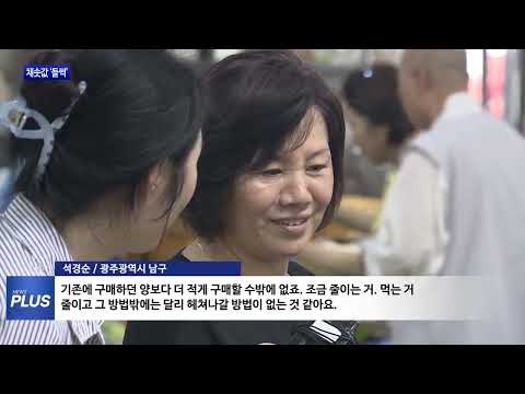 채솟값 ‘들썩’…장마에 소비자들 ‘한숨’