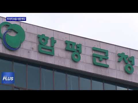 무자격 보증보험사 공무원도 속는다