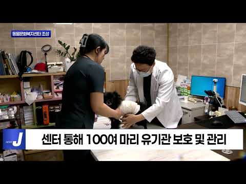 횡성군, 동물문화복지센터 조성